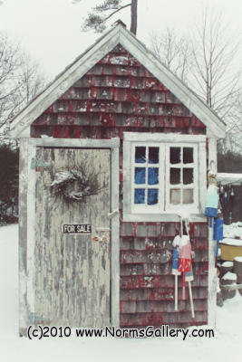 Shed for sale (c)2017 www.NormsGallery.com