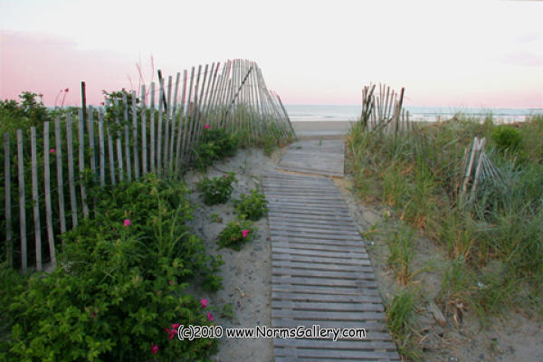 Beach Path (c)2017 www.NormsGallery.com