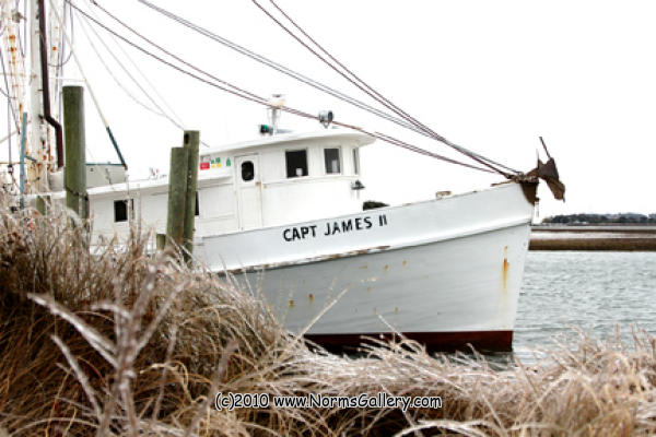 Capt. James II (c)2017 www.NormsGallery.com