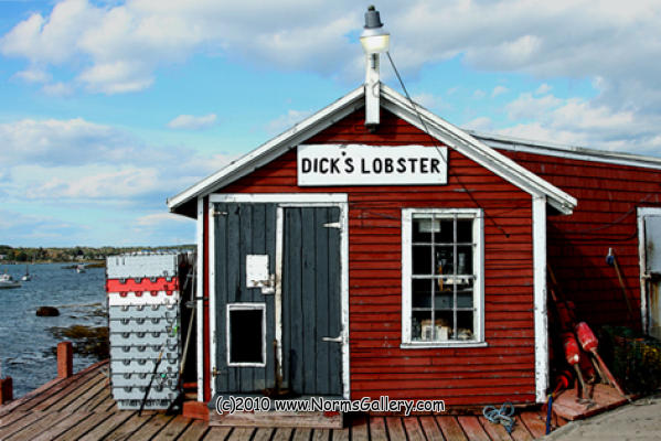 Dicks Lobster (c)2017 www.NormsGallery.com