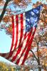 FlagDoverCloseup_100.jpg