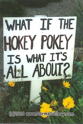 Hokey Pokey (c)2017 www.NormsGallery.com