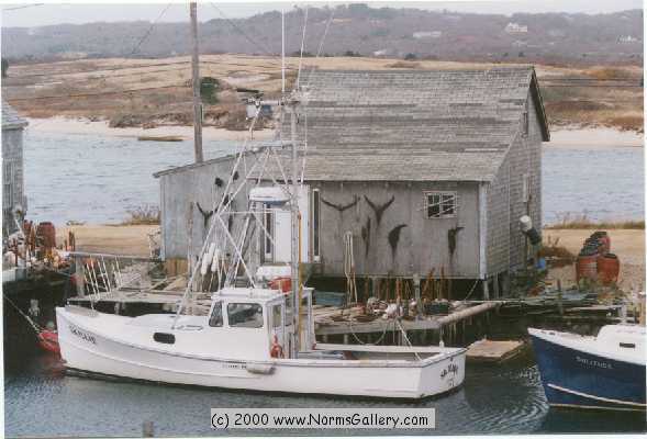 Menemsha (c)2017 www.NormsGallery.com