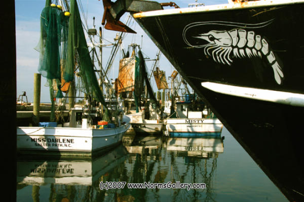 Carolina Shrimpers (c)2017 www.NormsGallery.com