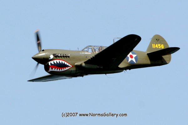 P-40 Warhawk (c)2017 www.NormsGallery.com