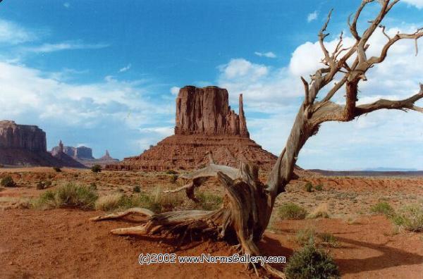 West Mitten Butte (c)2017 www.NormsGallery.com