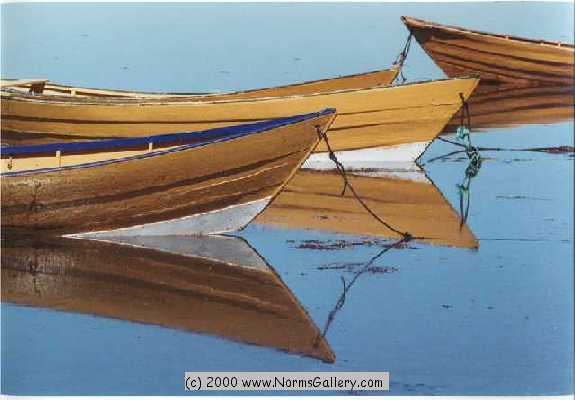 Double Dories (c)2017 www.NormsGallery.com